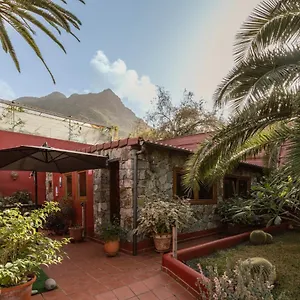Papaya , Punta Del Hidalgo España